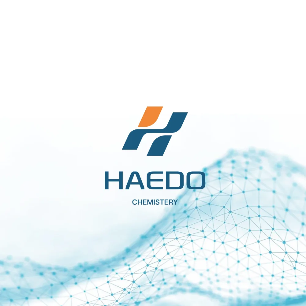 HAEDO 로고 디자인 2