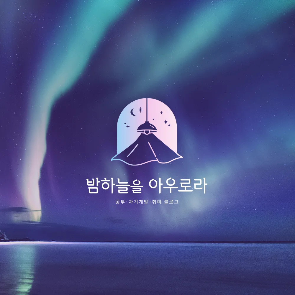 밤하늘을 아우로라 로고 디자인 2