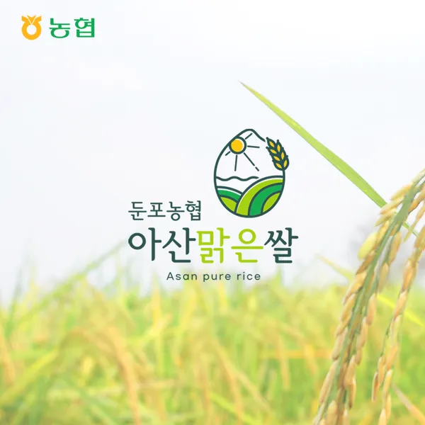 아산맑은쌀 로고 디자인