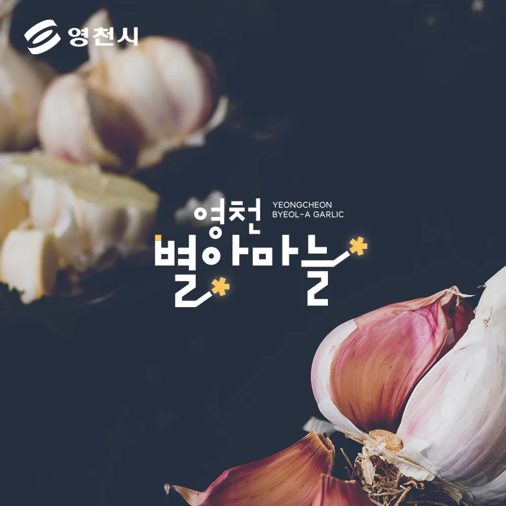 영천별아마늘 로고 디자인 3